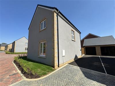 Picture 20